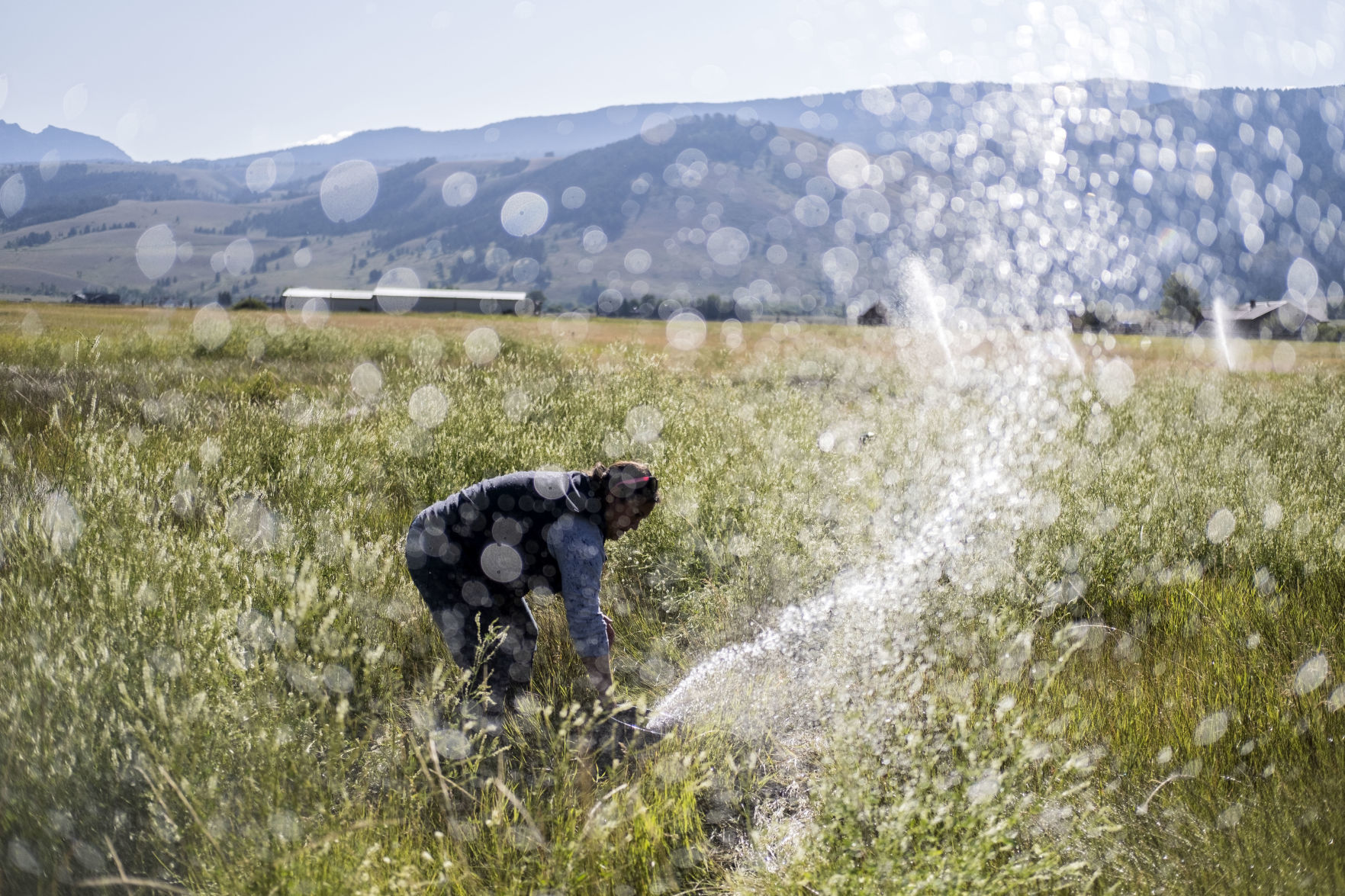 National Elk Refuge irrigation